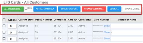 how to activate efs card